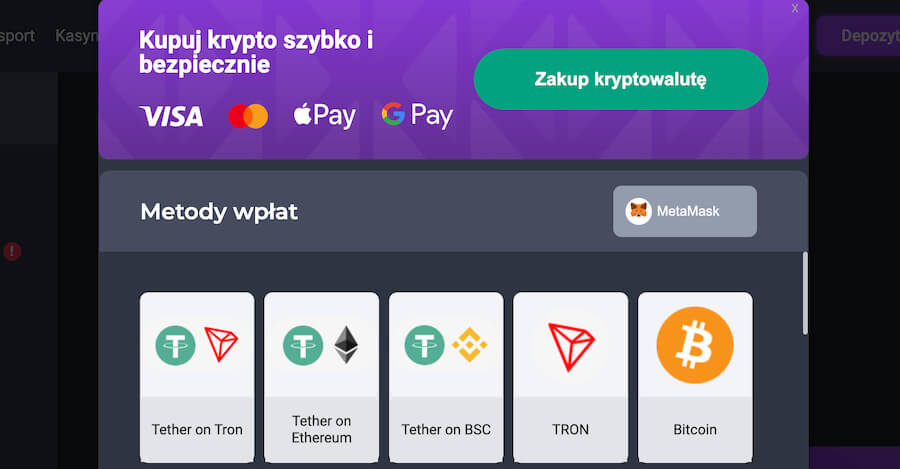 Opcja kupna kryptowalut na stronie kasyna Coinplay.